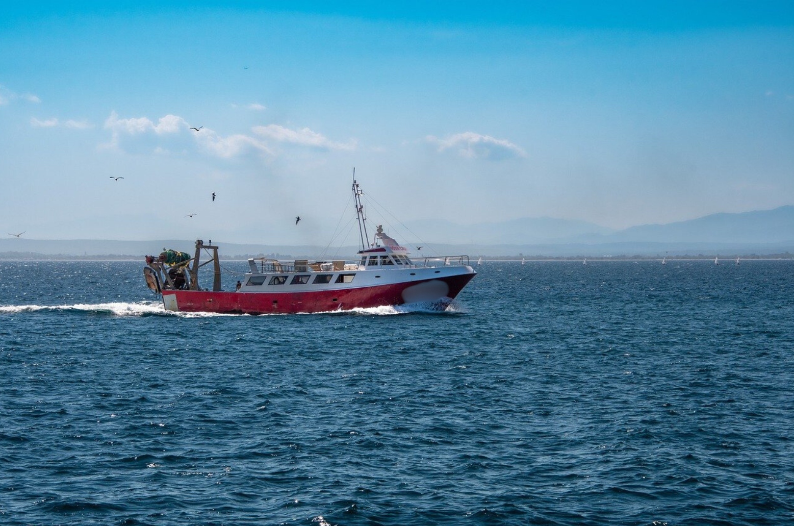 Barco pesquero