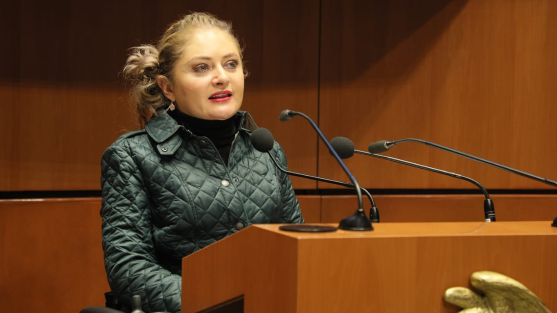 Claudia Anaya, senadora del PRI habla del Plan B.