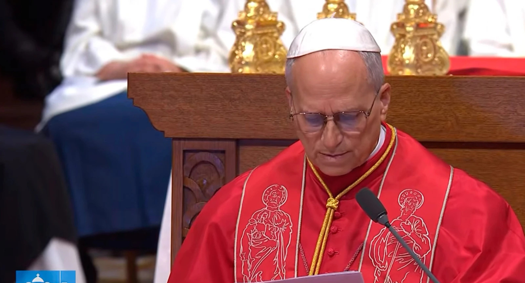 Domingo de Ramos: el Papa León XIV hace un fuerte llamado a la paz en ...