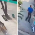 acoso sexual estudiante secundaria azcapotzalco