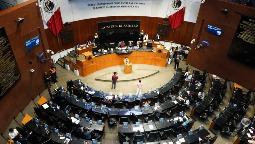 senado jueces y magistrados morena