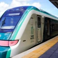 Guillermo D.Christy entrevista tren maya daños ecologicos