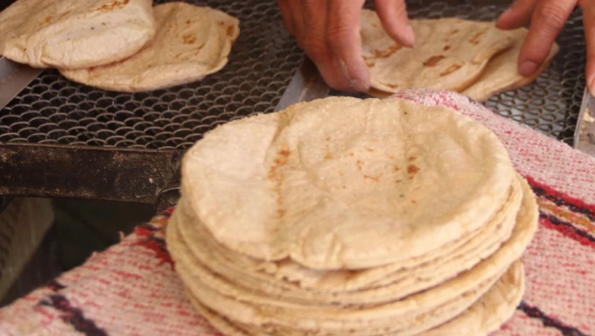 tortillas mejores alcaldía cdmx