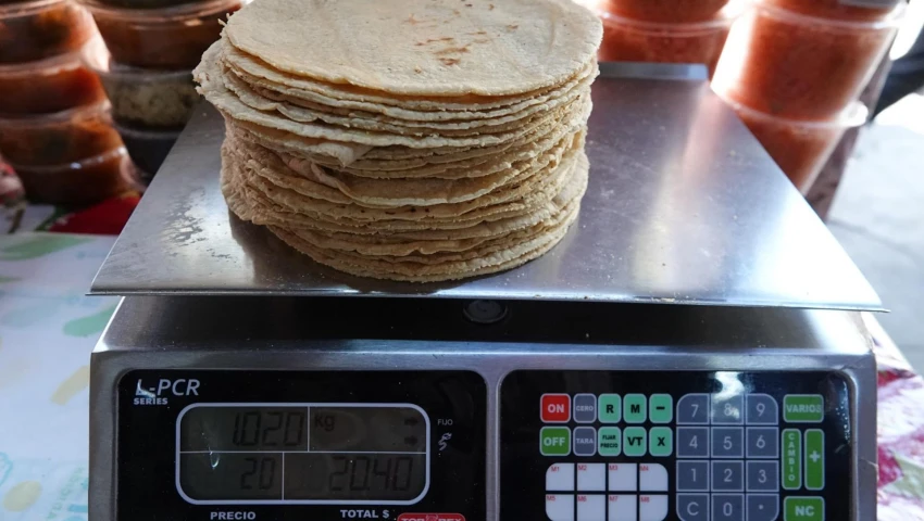 Tortilla Precio de la tortilla