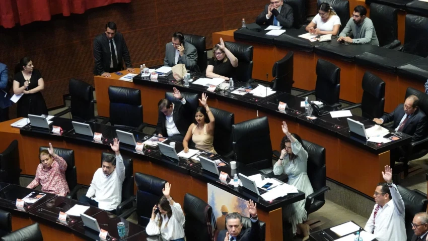 Aumenta 43% el gasto del Senado en alimentos: un solo proveedor se lleva el contrato