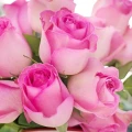 ¿Por qué se deben regalar 20 rosas en abril?