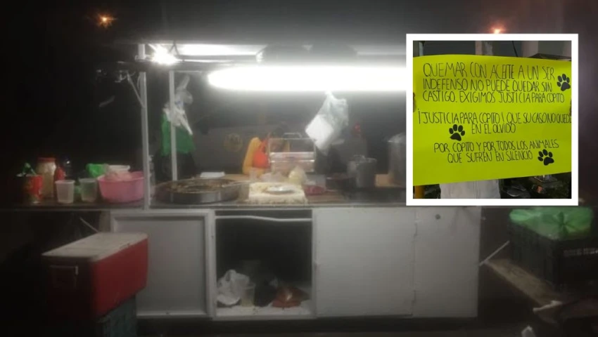 Caso "Copito": Taquero avienta aceite hirviendo a perrito; vecinos de Apodaca exigen castigo