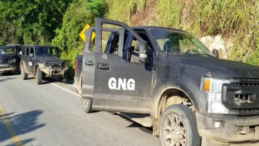 Violencia en Guerrero: 11 extranjeros entre los detenidos en operativo contra grupo criminal GNG