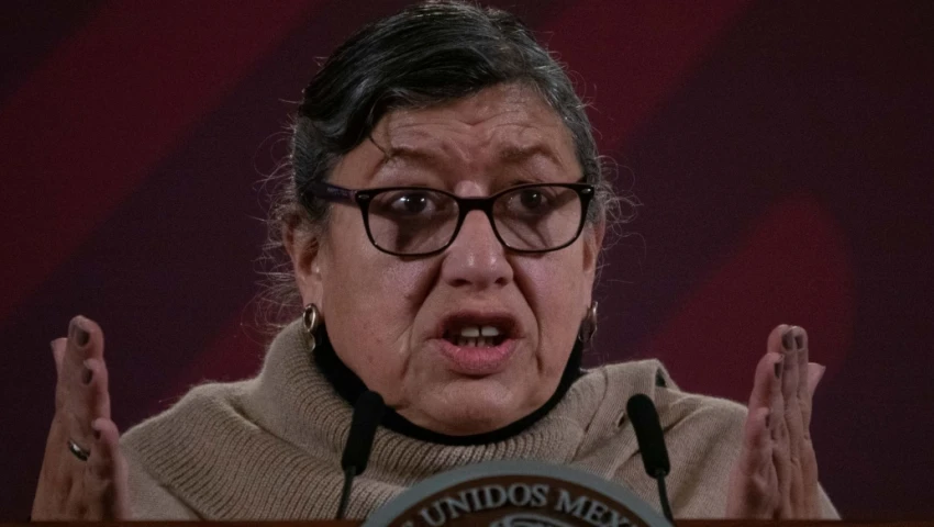 Teresa Reyes renuncia la Comisión Nacional de Búsqueda Teresa Reyes
