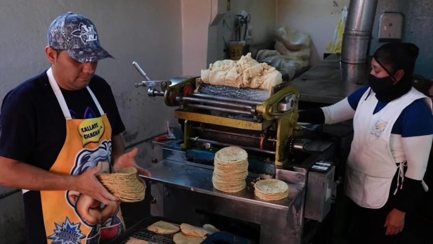 Tortillería Tortillería
