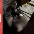 VIDEOS| Así fue el momento en que personas cayeron de las gradas en el concierto de Quevedo