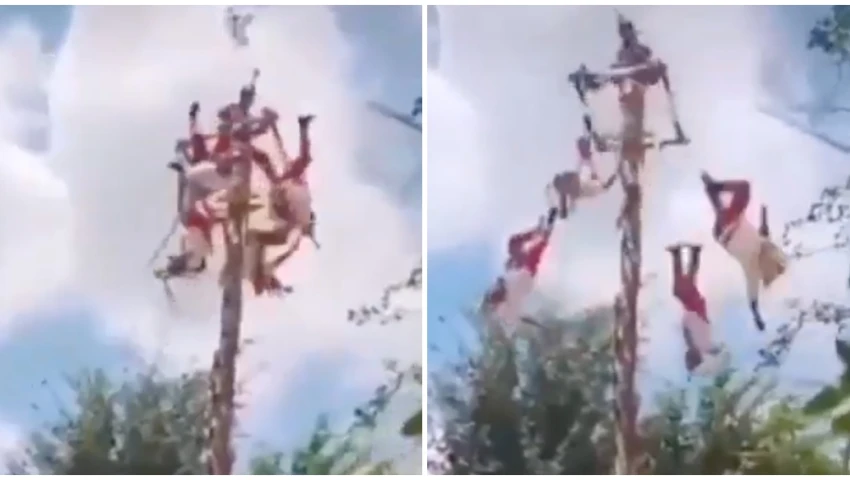 El Águila, Voladores de Papantla, Veracruz