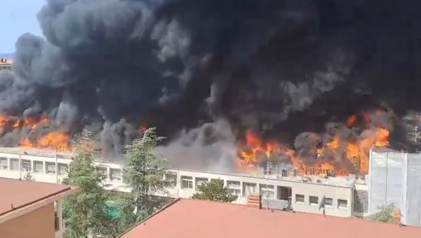VIDEOS | Incendio en la Universidad de Tuscia: lo que se sabe del origen del desastre en Italia