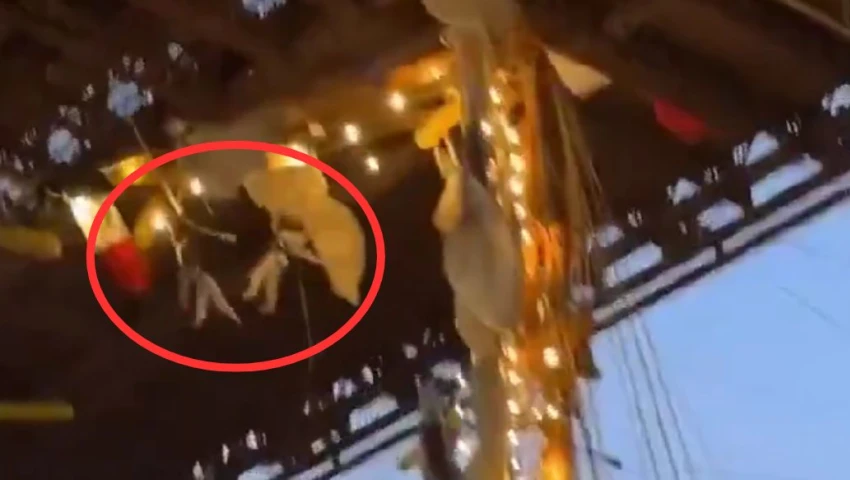 VIDEO| Momento exacto: Así se aferraron los cadetes del Buque Cuauhtémoc al chocar en Brooklyn