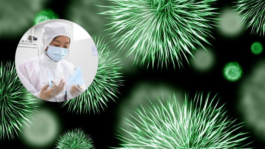 virus HMPV virus HMPV