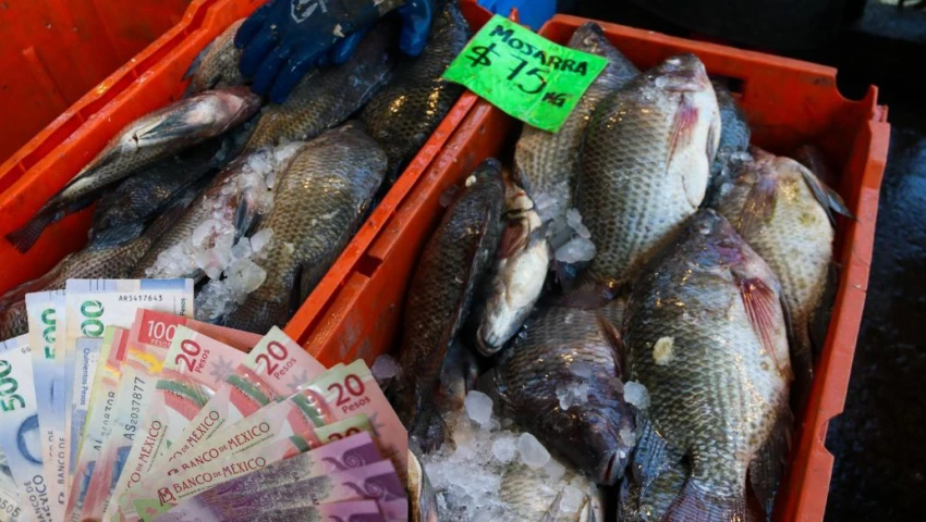 Walmart o Soriana: ¿Dónde comprar mariscos y pescado barato en CDMX, según Profeco?