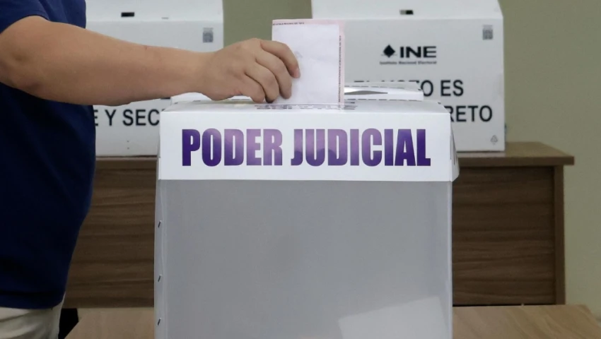 Guadalupe Taddei Zavala, elecciones, Poder Judicial, acordeones, guías de votación