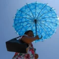 calor, canícula, fenómeno climático