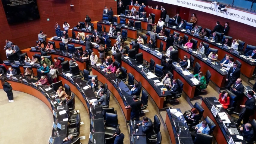 Comisión Nacional Antimonopolio, Senado, prácticas empresariales monopólicas