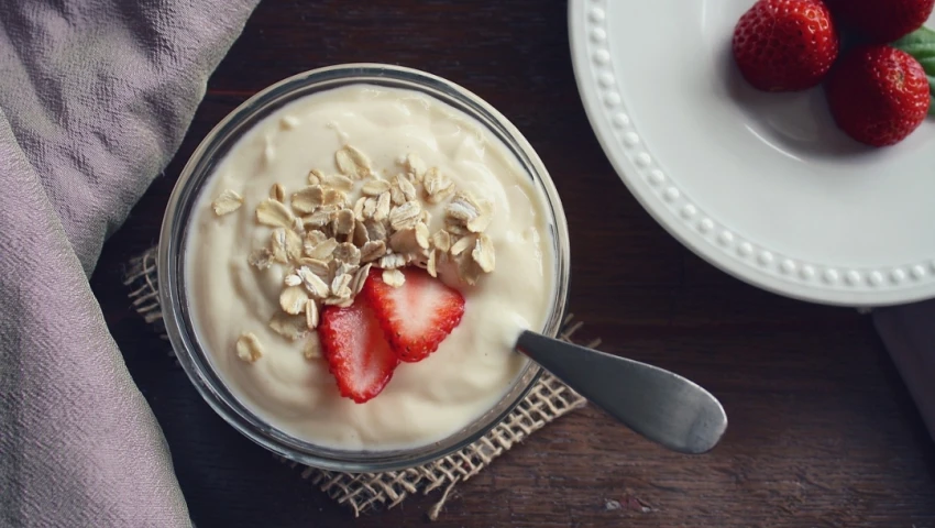 Yogurt Yogurt