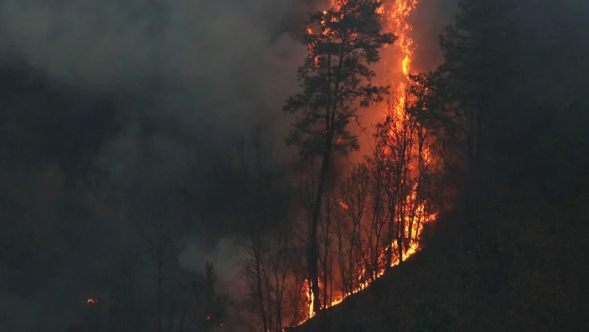 incendio forestar tlaxcala fuego