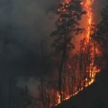 incendio forestar tlaxcala fuego