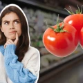 dumping estados unidos mexico tomate