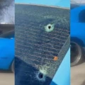 Agente ministerial de Chihuahua dispara a estadounidenses en confuso incidente; mata a uno | VIDEO