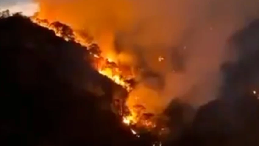 Tepozteco Tepoztlán Morelos incendio forestal Conafor llamas