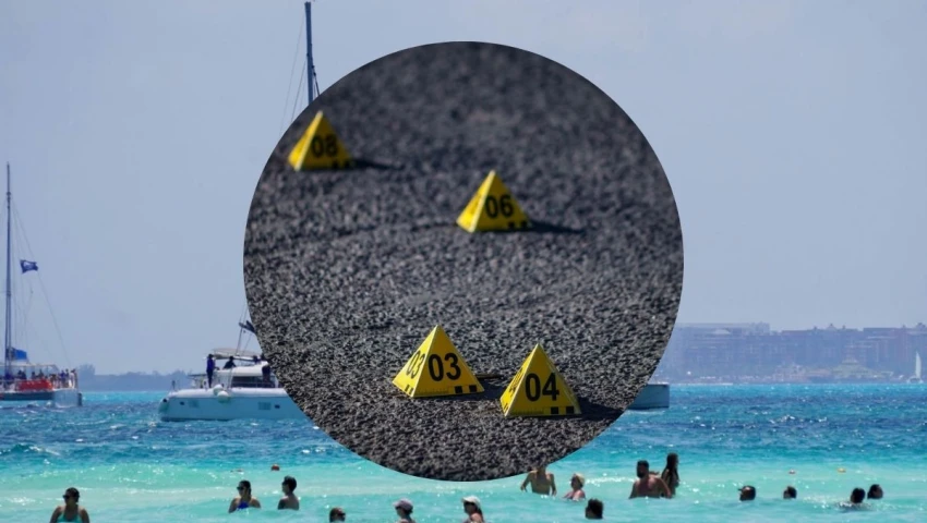 balacera isla mujeres hotel un muerto y un detenido