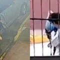 Bebés abandonados en calles de la CDMX y Edomex; ¿qué castigo marca la ley?