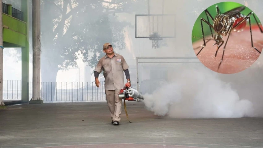 Brote de Chikungunya confina y restringe a China; medidas recuerdan al COVID