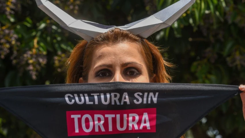 ¡Caos hoy en CDMX! Estas marchas y eventos pueden interrumpir tu día