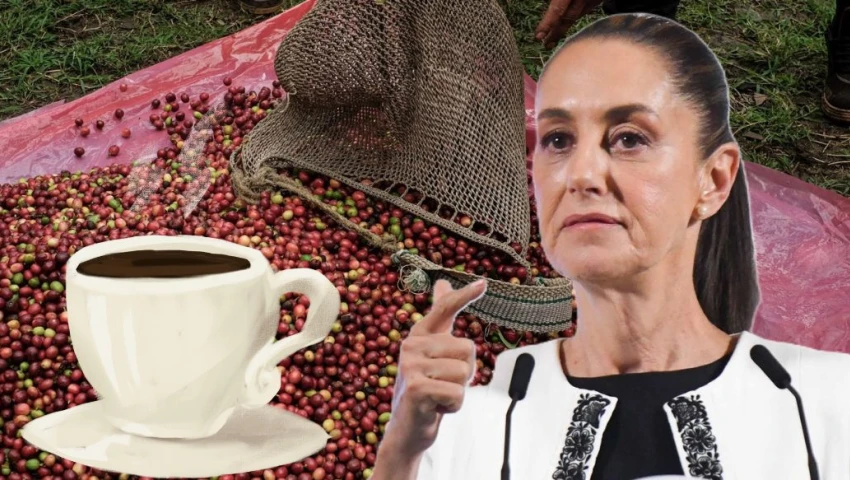 Café del Bienestar: ¿cuándo estará disponible y cómo funcionará?