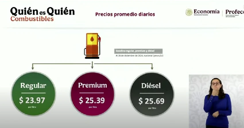 Combustibles
