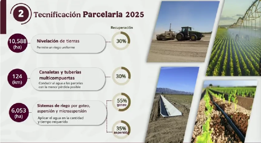 Tecnificación