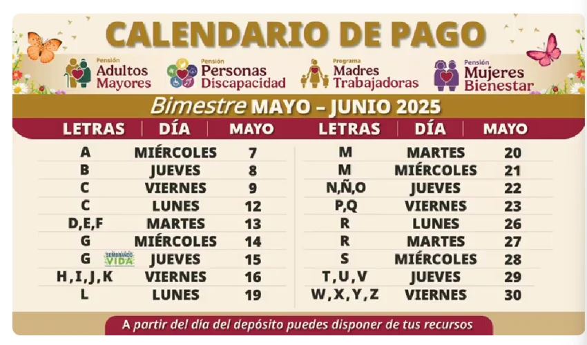 Pagos Bienestar