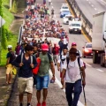 Causas de la migración en América Latina: ¿Por qué miles dejan sus hogares cada año?