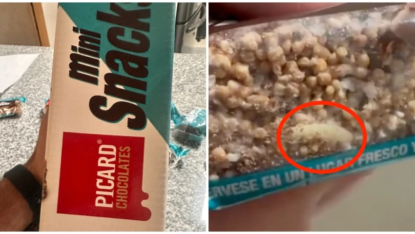 Chocolates, gusanos, Costco, supermercado, larvas