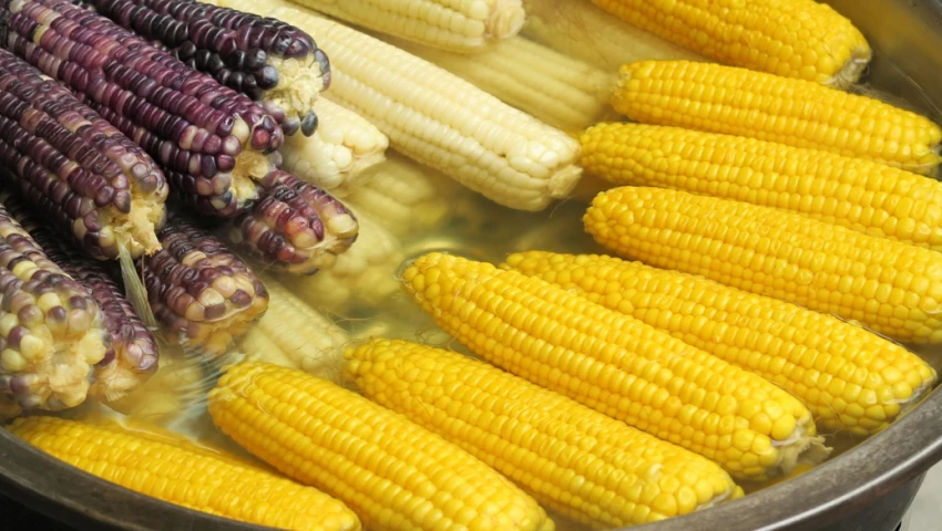 Feria del Elote 2025