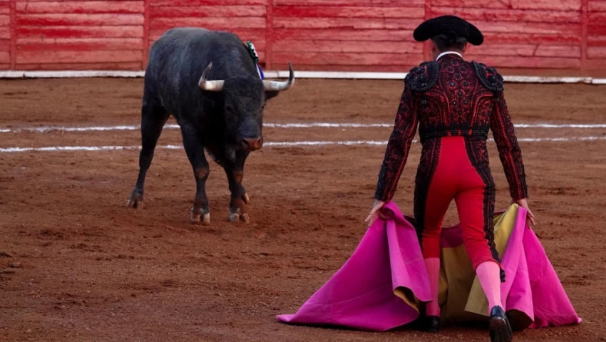 Corrida de toros Corrida de toros