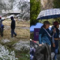 Clima hoy: Estados con aguanieve y temperaturas de hasta 45°C este 12 de marzo