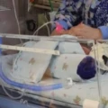 Cronología de la tragedia que dejó 13 bebés muertos en Edomex: hay 3 empleadas y una empresa implicadas