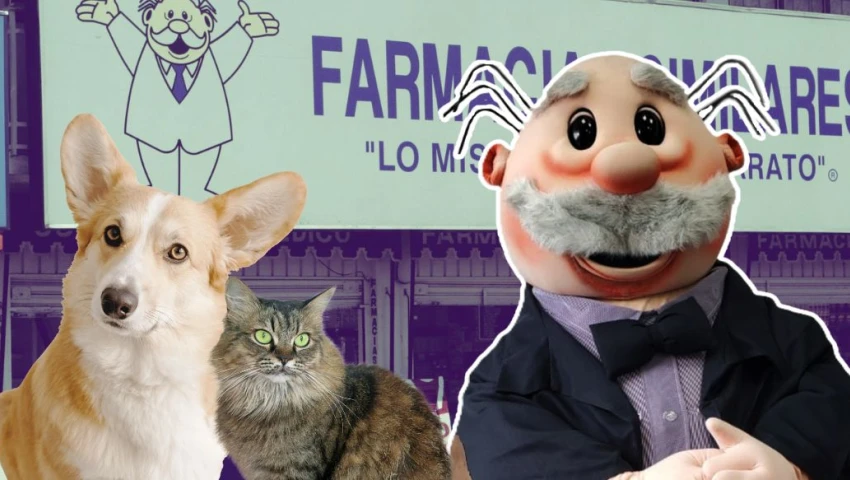 ¿Cuándo abre SimiPet Care? Esta es la FECHA EXACTA del nuevo veterinario Dr. Simi en CDMX