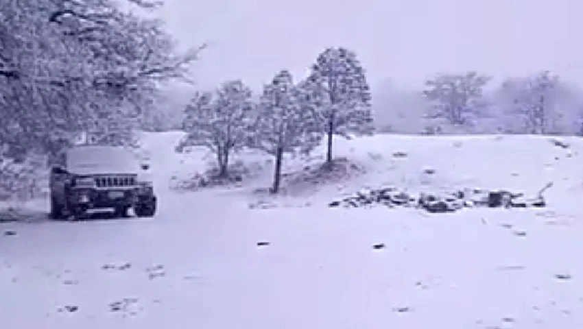 ¿Cuándo se irá el frío? Chihuahua vive un abril con nieve y heladas | IMÁGENES