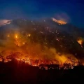 Incendios en México: El impactante récord de destrucción forestal en 2024; ¿quién tiene la culpa?