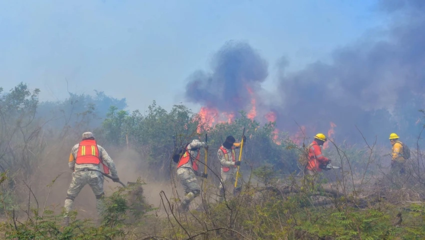 Incendios forestales en México Incendios forestales en México