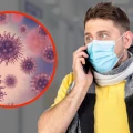 influenza aviar A H5N1 síntomas méxico tratamiento como prevenir