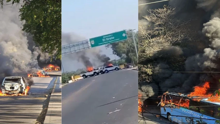 Matan a “El Mencho”: impactantes IMÁGENES y VIDEOS de narcobloqueos tras operativo en Jalisco | Guillermo Ortega - Tu sitio de noticias