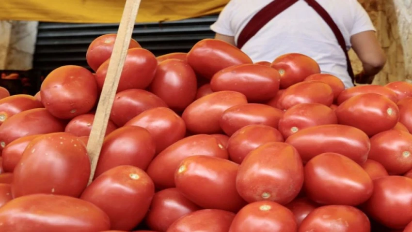 Tarifas al jitomate mexicano Tarifas al jitomate mexicano